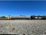 UTLX 954927